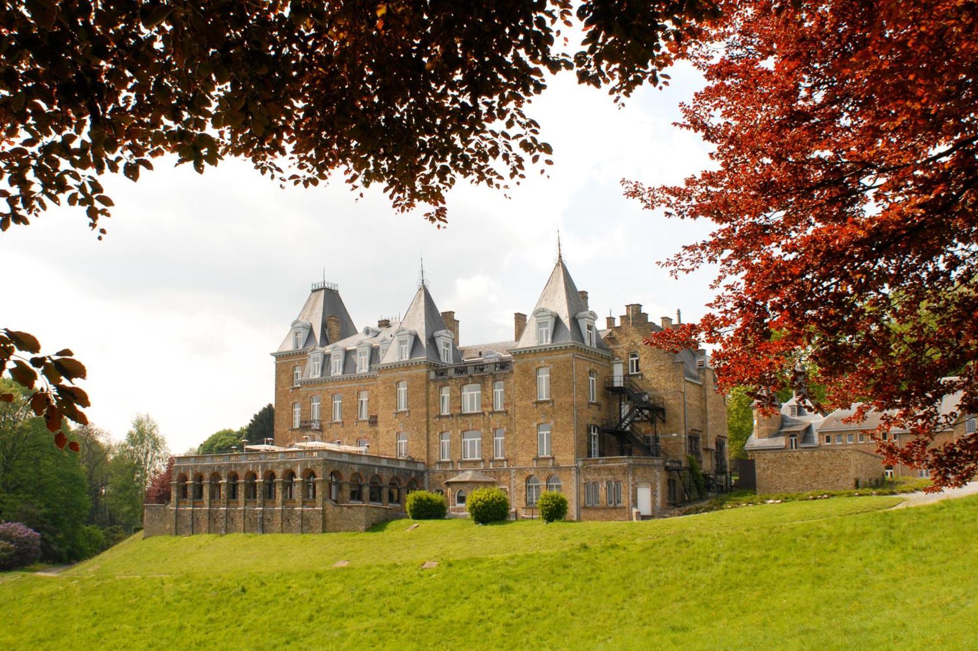 Domaine de Ronchinne - Château et Ecuries Maillen Exterior foto