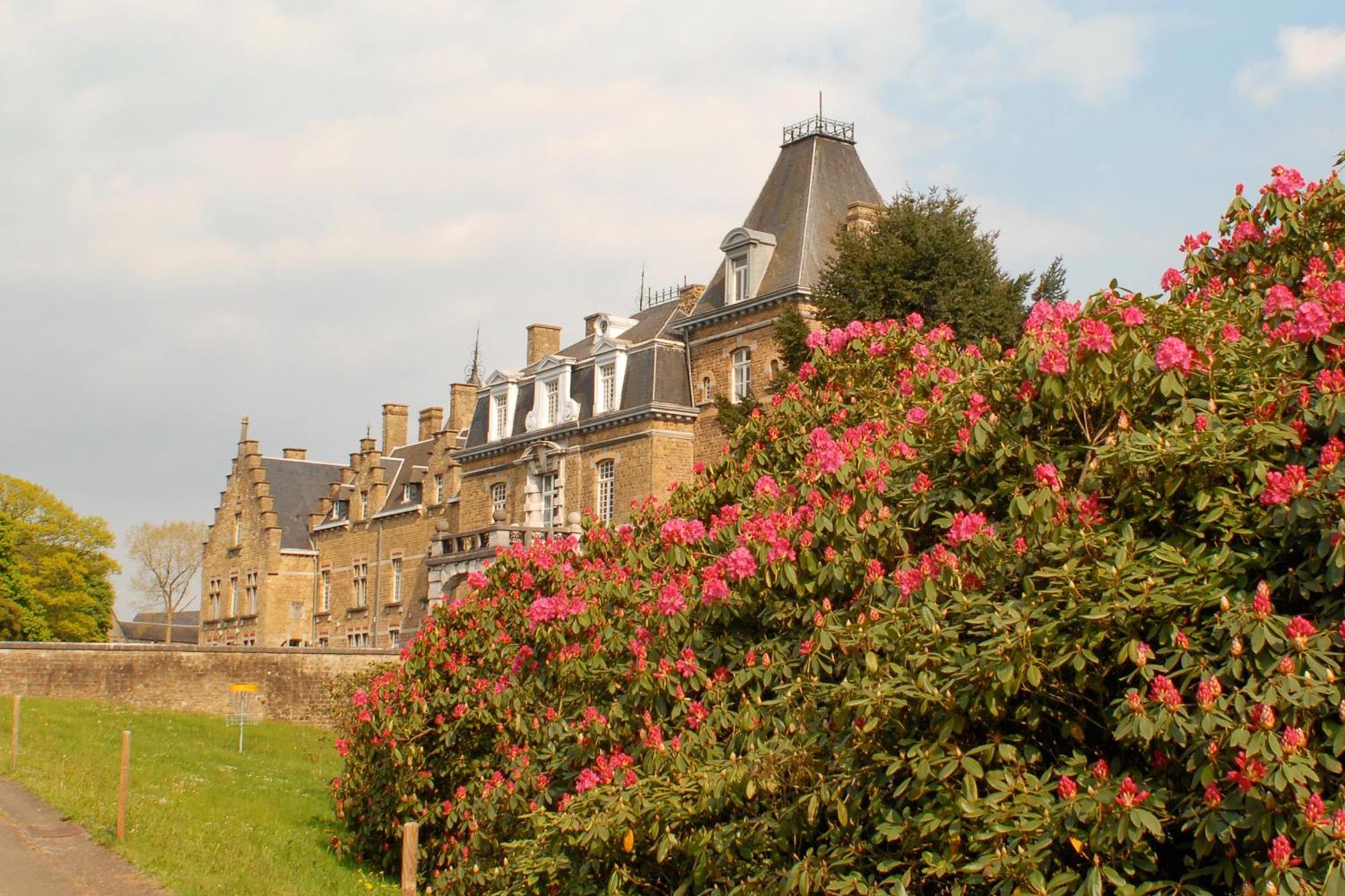 Domaine de Ronchinne - Château et Ecuries Maillen Exterior foto